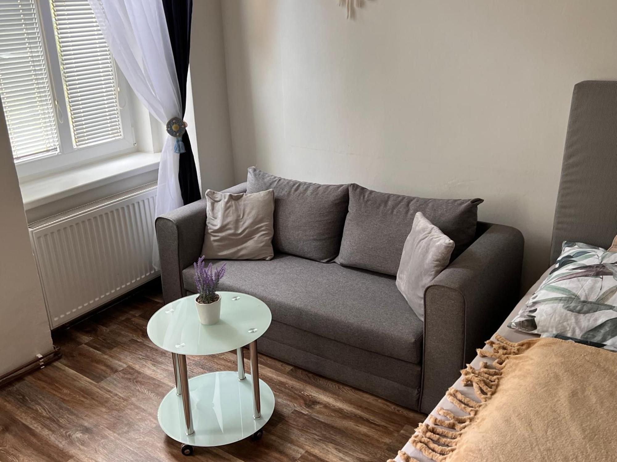 Apartmentscarlsbad Karlovy Vary Dış mekan fotoğraf