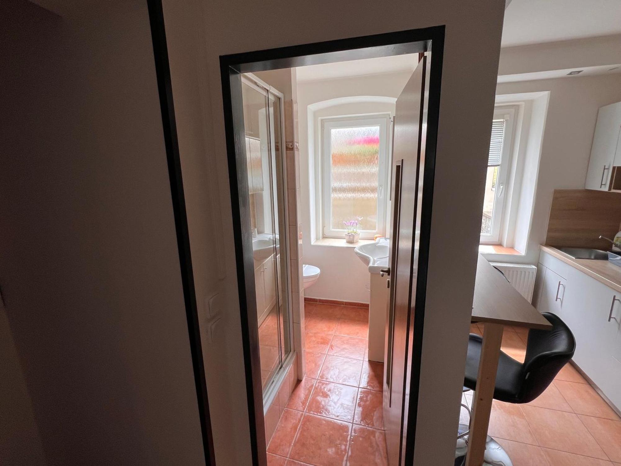 Apartmentscarlsbad Karlovy Vary Dış mekan fotoğraf